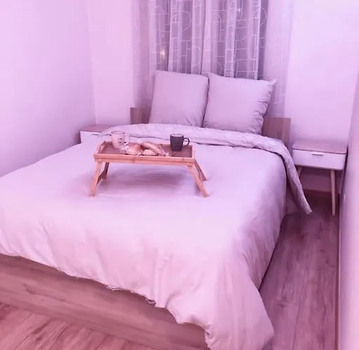 Superbe Appartement Tout Equipe, Le Nid D\'Eva A Metz Gare, Parking Prive, Balcon, F2, 50M2, 3P