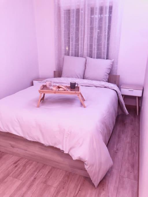 Superbe Equipe, Le Nid D'eva A Gare, Parking Prive, Balcon, F2, 50m2, 3p Metz