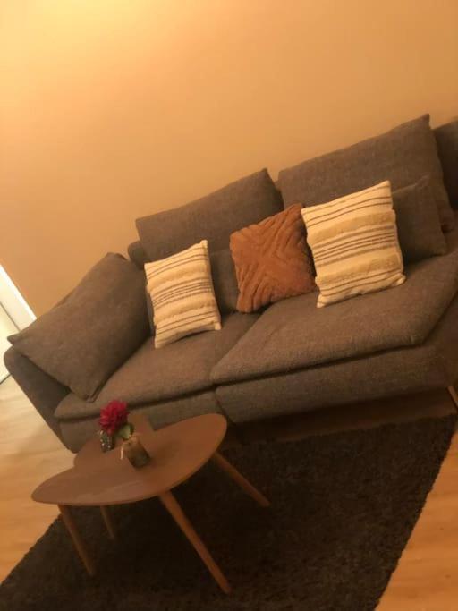 Superbe Equipe, Le Nid D'eva A Gare, Parking Prive, Balcon, F2, 50m2, 3p